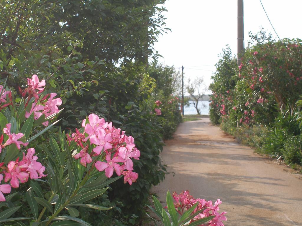 Holiday House Zaton Nin Εξωτερικό φωτογραφία