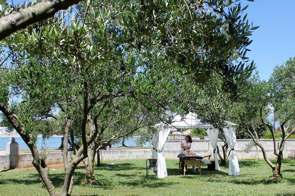 Holiday House Zaton Nin Εξωτερικό φωτογραφία