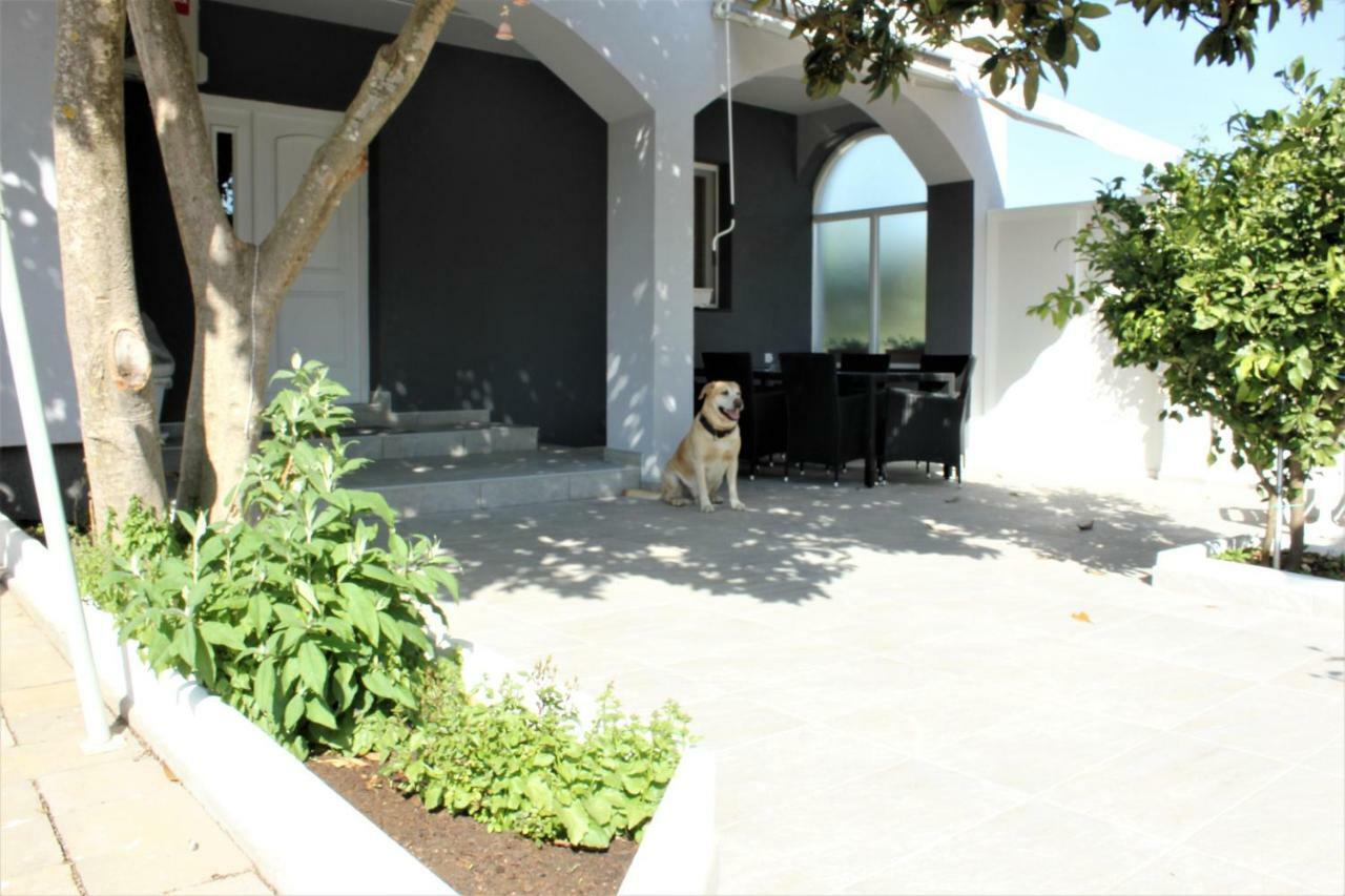 Holiday House Zaton Nin Εξωτερικό φωτογραφία